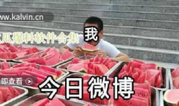 吃瓜爆料全集视频大全下载,揭秘娱乐圈幕后真相