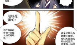 今天黑圣手漫画,暗夜杀手崛起之谜