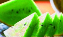 人人吃瓜官网朝阳,人人吃瓜官网揭秘