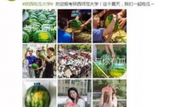 长清大学在线吃瓜网,揭秘校园热点，畅享青春趣味