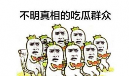 泗水吃瓜群众爆料后续视频,真相大白，事件再掀波澜