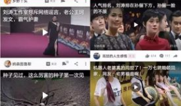 吃瓜独家重磅爆料视频,吃瓜爆料视频背后的惊人真相