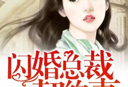 闪婚总裁契约妻漫画免费,甜蜜契约，情深不渝
